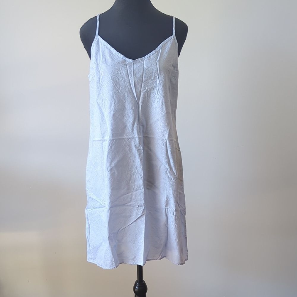Brooks Brothers Light Blue Chemise Slip